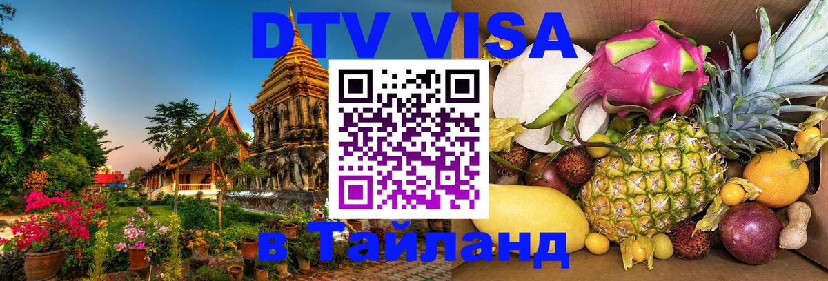 Оформление DTV визы под ключ: стоимость и тарифы, только загранпаспорт - 